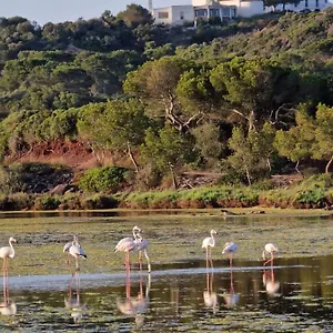 Mongofre Farm stay Mahon (Menorca)